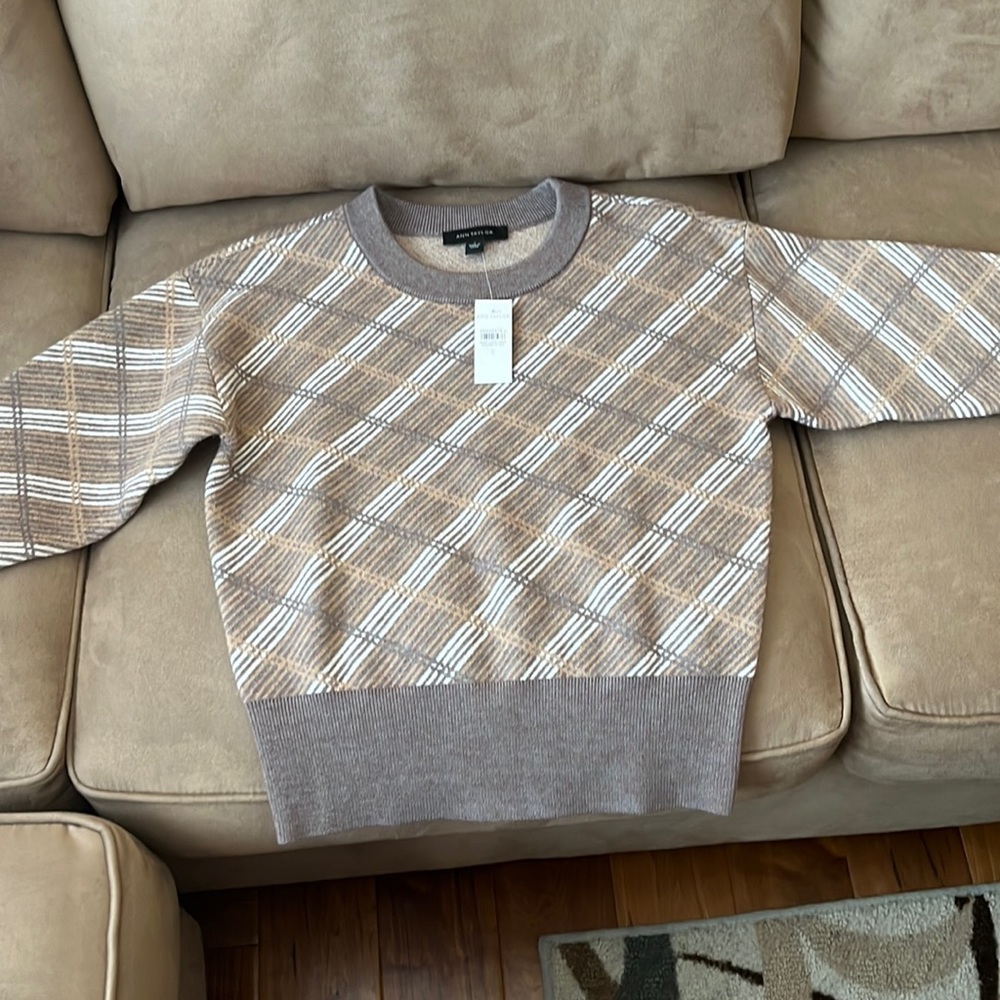Ann Taylor Argyle Sweater.